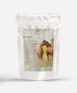 DermX - Soutien naturel de la peau et du pelage des chevaux, 1&nbsp;kg